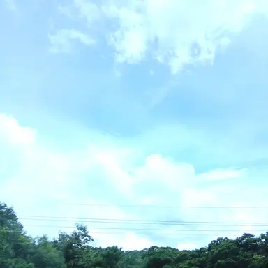 Profile image of 유즈하 리코