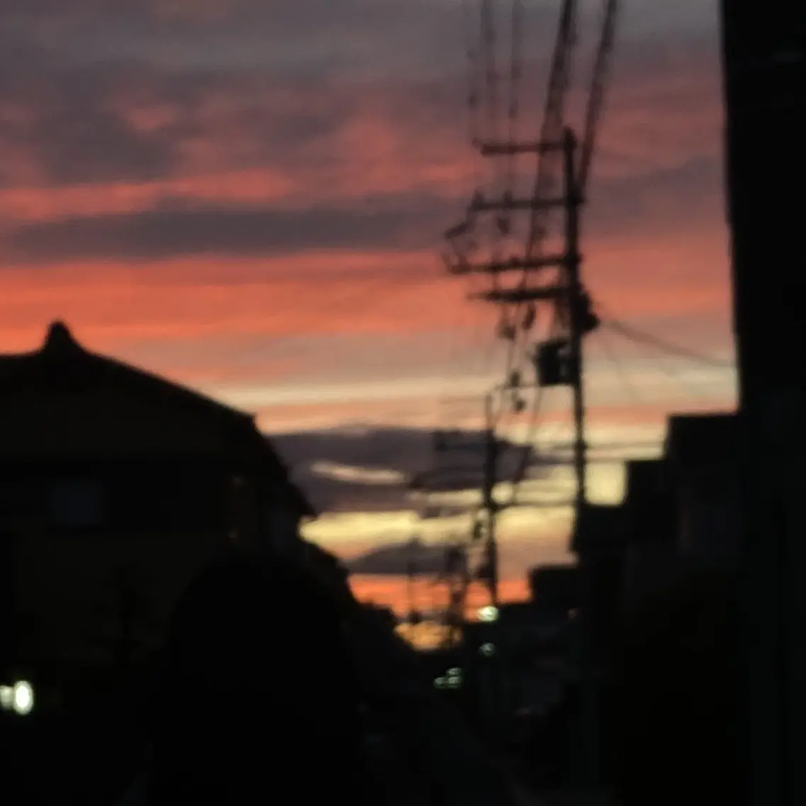 nihondaisuki221의 52を保護しよう！