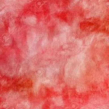 Profile image of 宮舘涼太