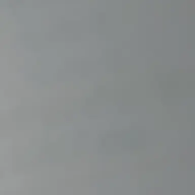 Profile image of 장한음