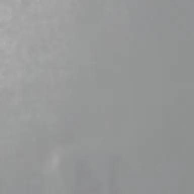 Profile image of 정상현