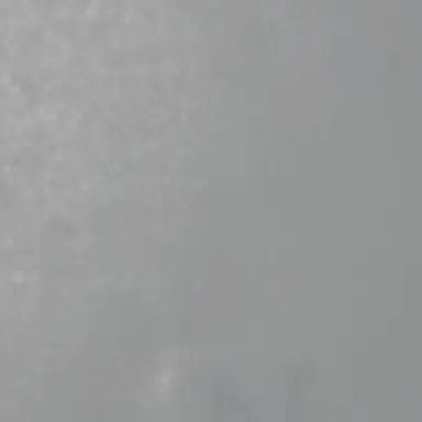 Profile image of 유강민