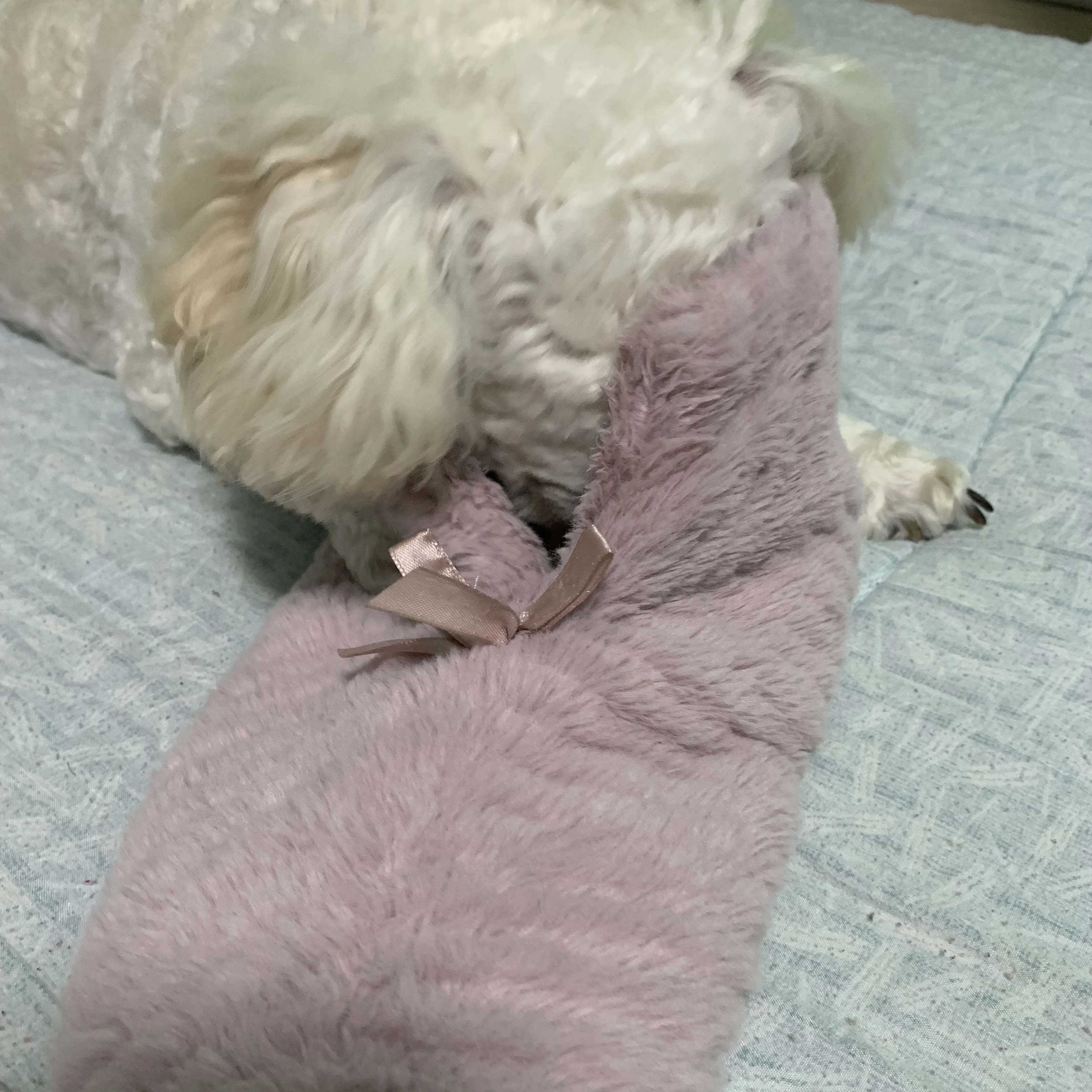 이수현
