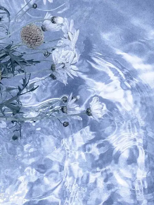 fulli_Sapphire의 永遠をめぐる