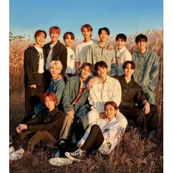IdealBat7062의 세븐틴