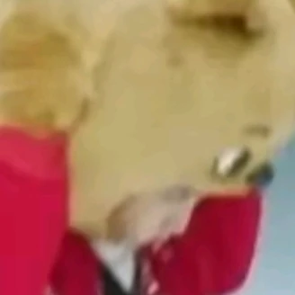 한지성