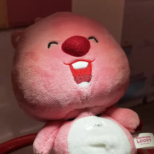 Hashshbssjsnne의 지우학