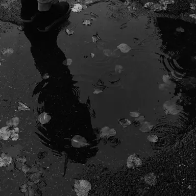 Profile image of 민윤기