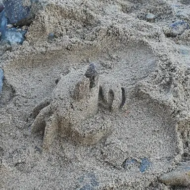 Profile image of 준후지훈지후준호유저