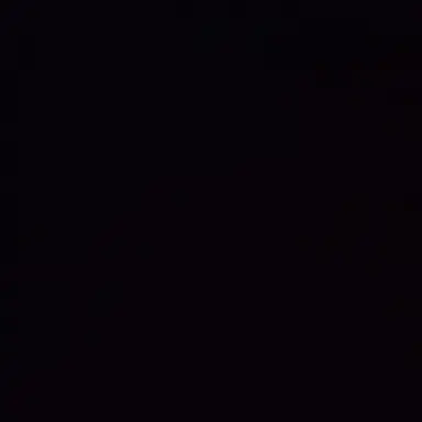 Profile image of Shoto Aizawa