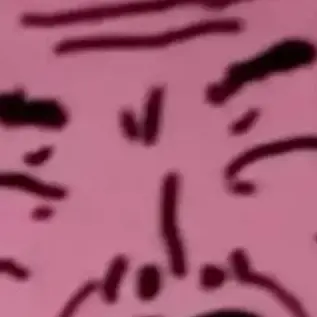 Profile image of 여우-늑대
