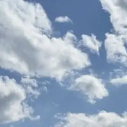 Profile image of 강지구