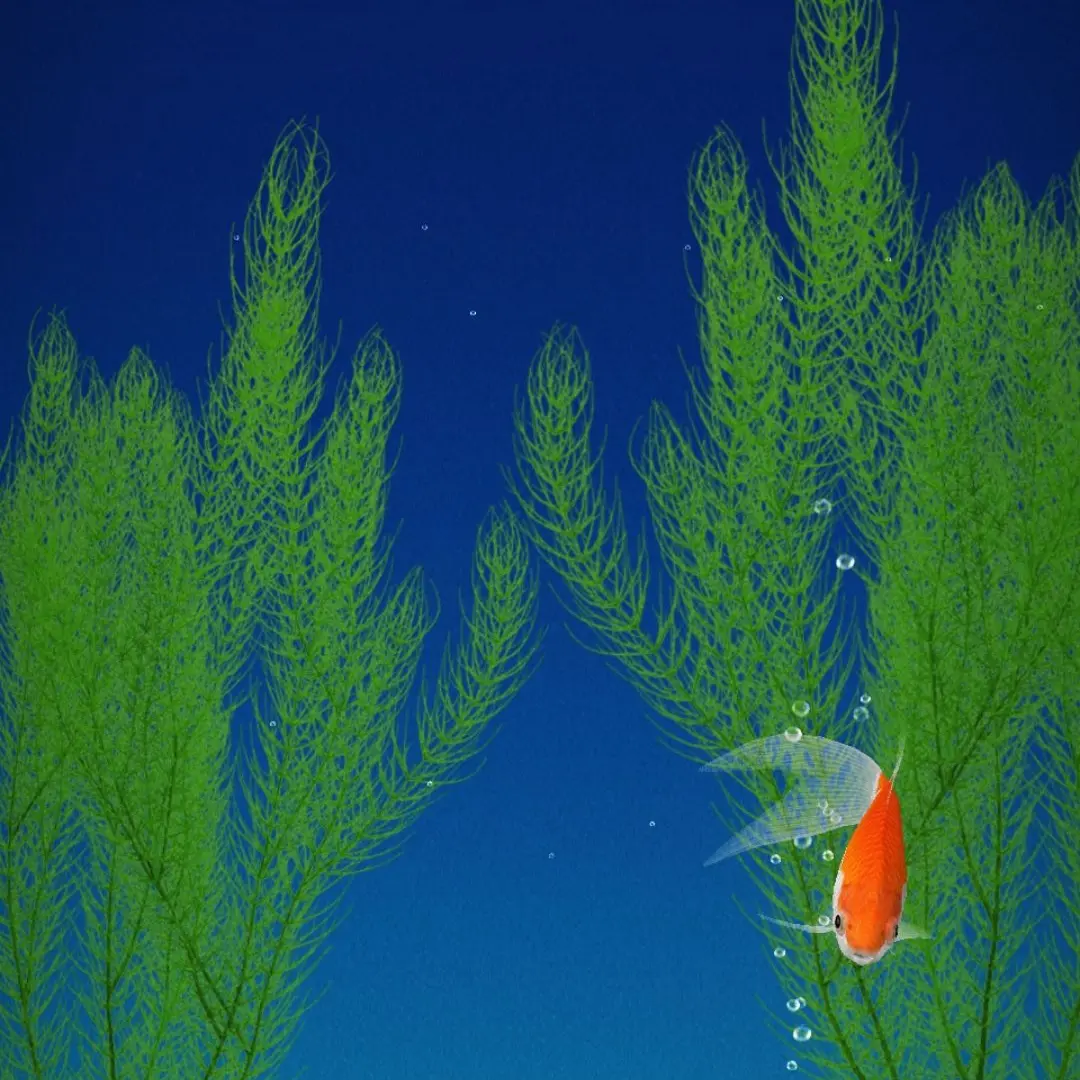 QuietPlume4099의 自分用