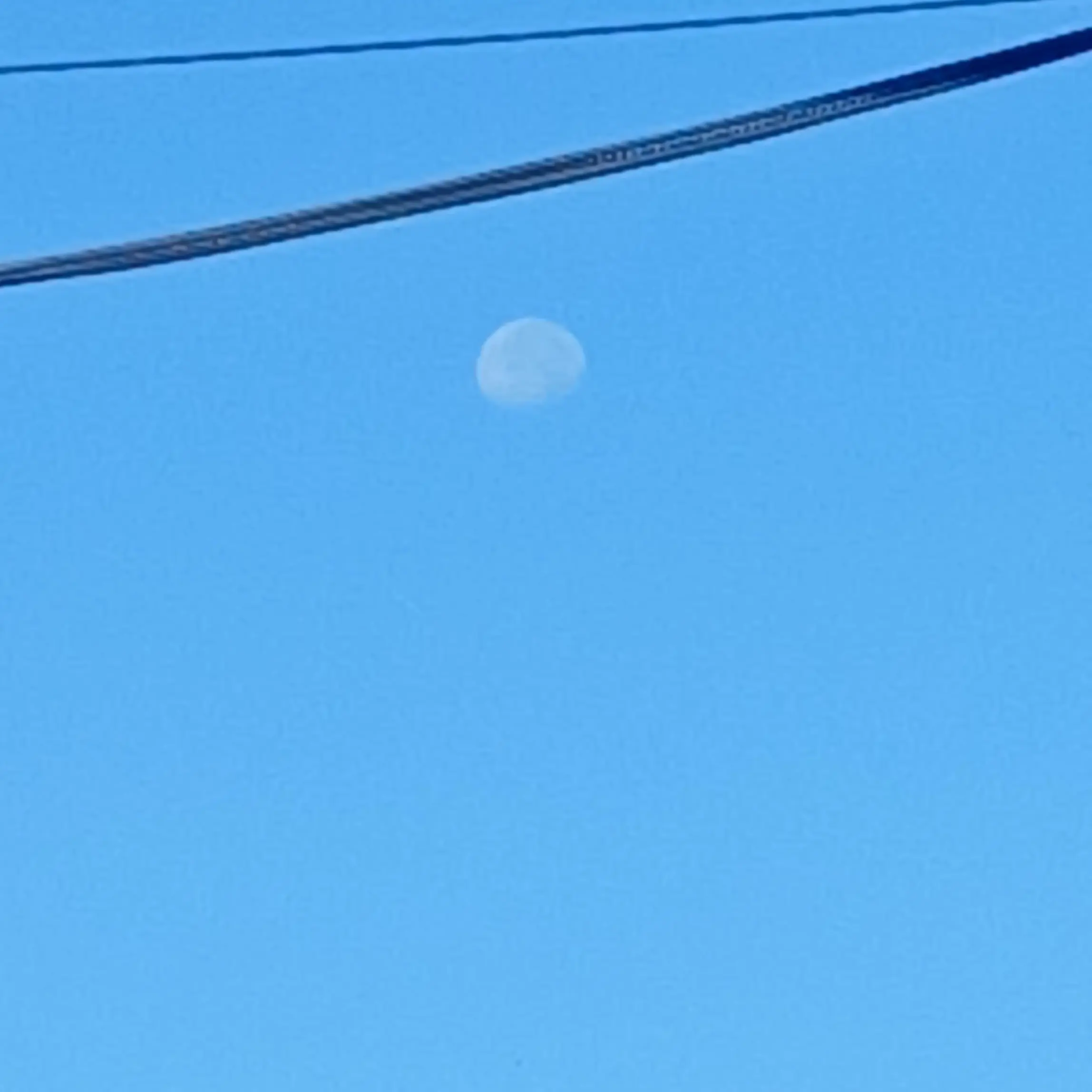 RoughZebra4386의 케이팝 데몬 헌터스 수학여행! 로맨○