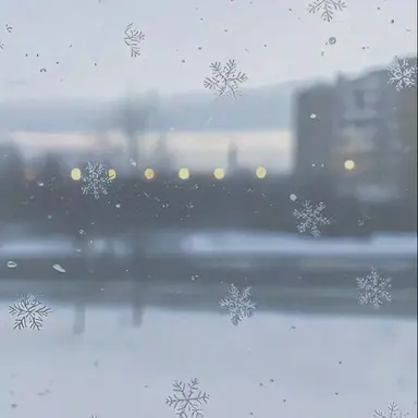 Profile image of 도혜정