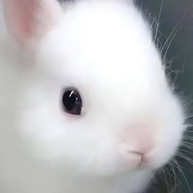 Profile image of 지훈