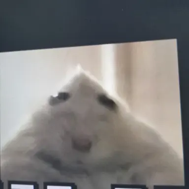 Profile image of 여우