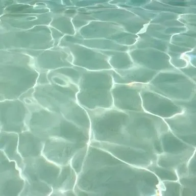 Profile image of 우유참치