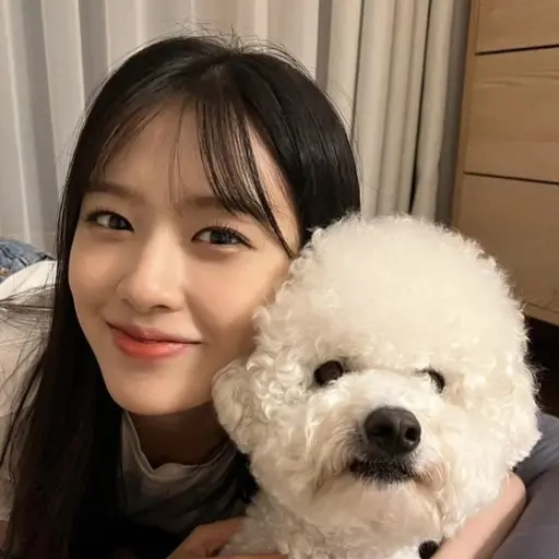 FancyBog0945의 안유진