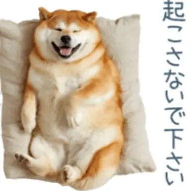 Profile image of チャンス