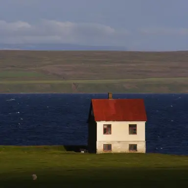 Profile image of 도 견