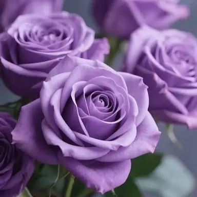 Profile image of 황수현