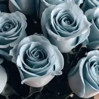 Profile image of 박잠뜰