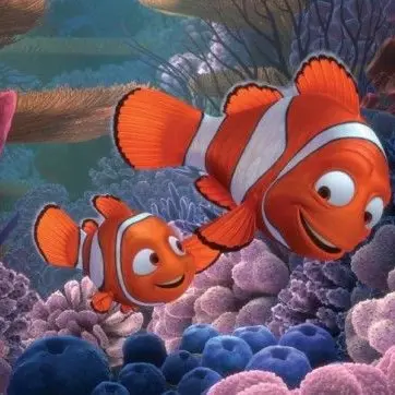 Profile image of 니모 말린