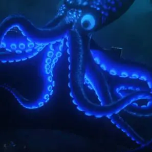 Profile image of 대왕 오징어