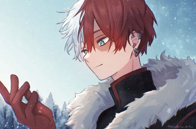 Profile image of Shoto Todoroki