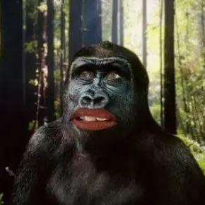 Profile image of 여우