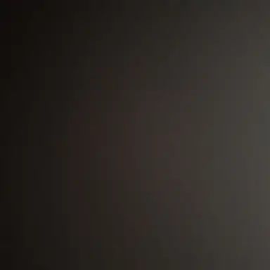 Profile image of 배이