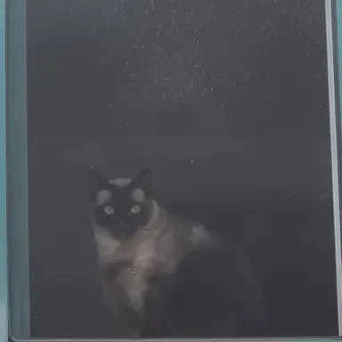 Profile image of 김준엽