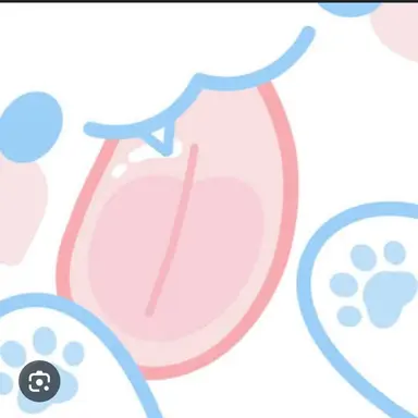 Profile image of 모찌엘