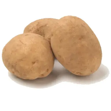 Profile image of 男爵芋