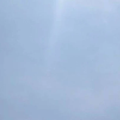 叶