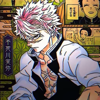 Profile image of Sanemi Shinazugawa