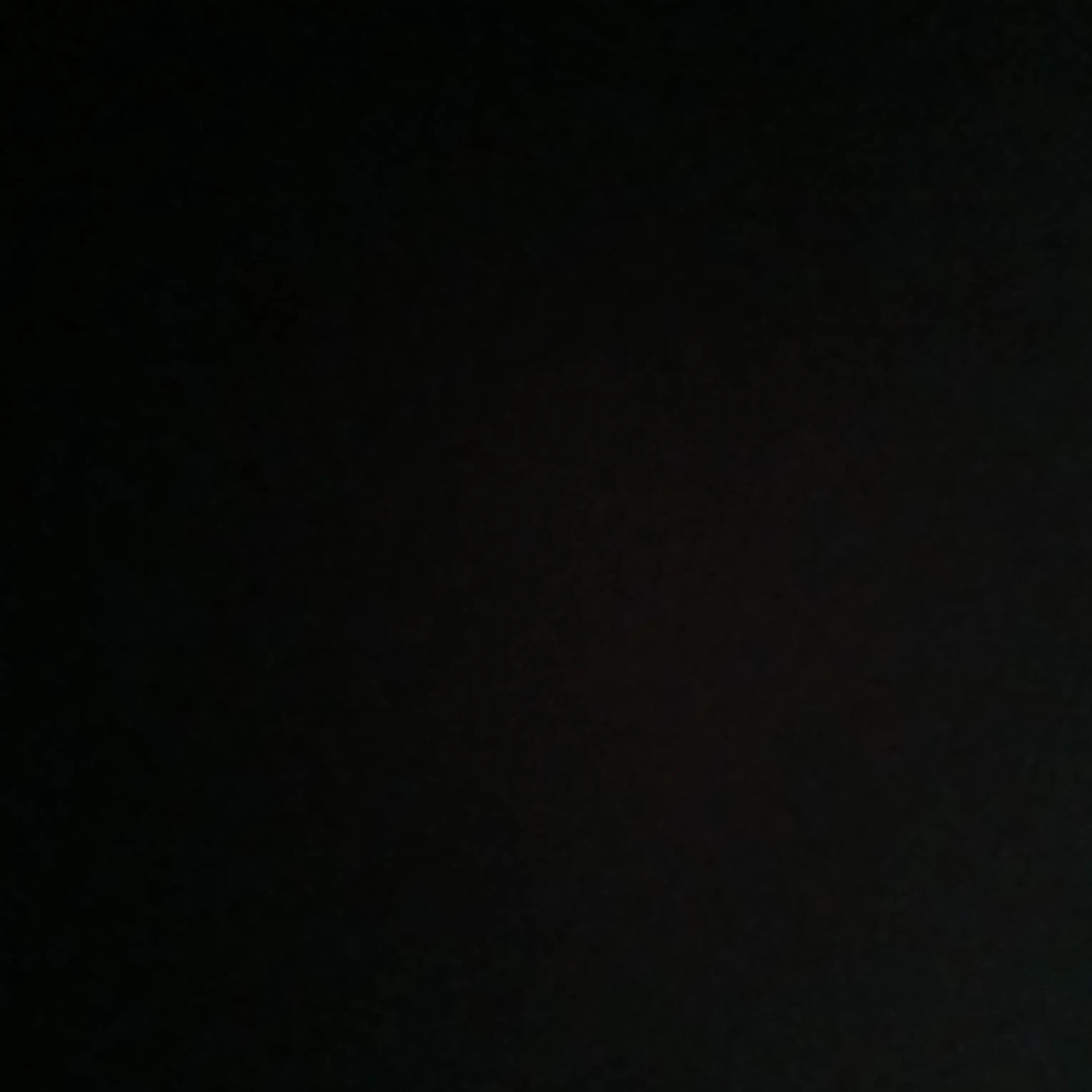 NumbFlake2912의 폐기