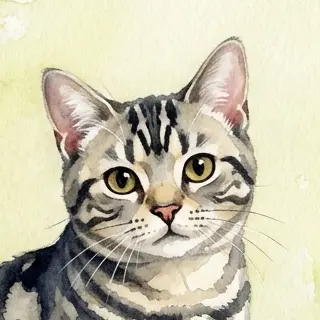 Profile image of ナル