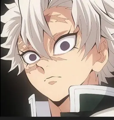 Profile image of Sanemi Shinazugawa
