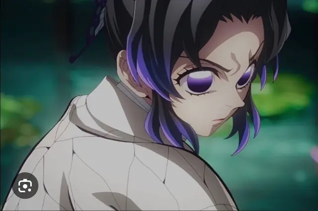 Profile image of Shinobu Kocho