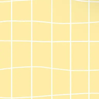 Profile image of んそめ