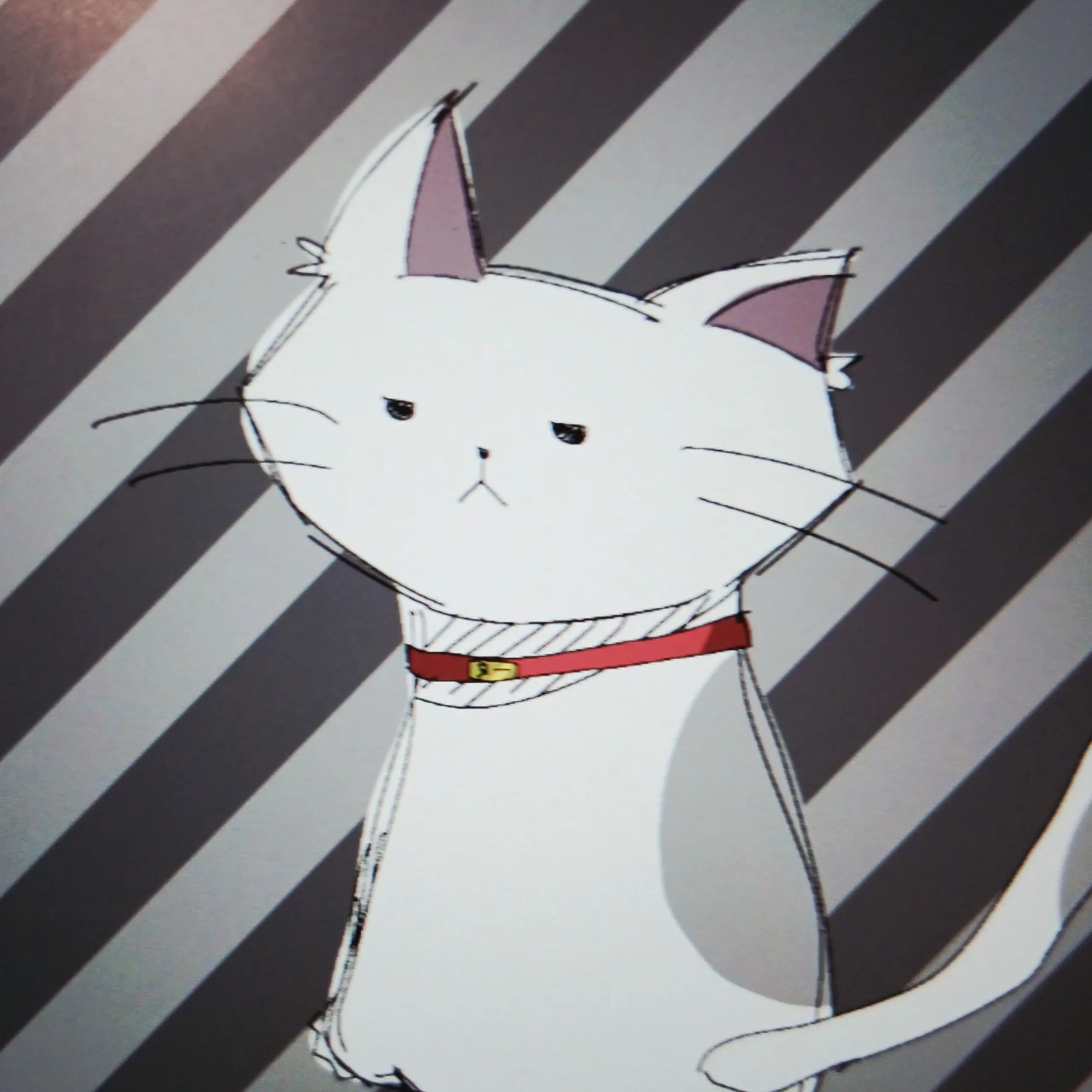 Yes131의 猫だ！！半獣人だ！！