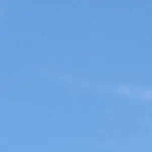 Profile image of 太智