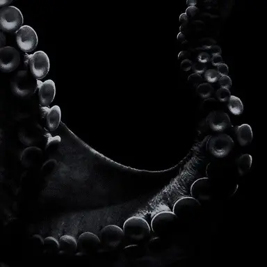 Profile image of 크라켄