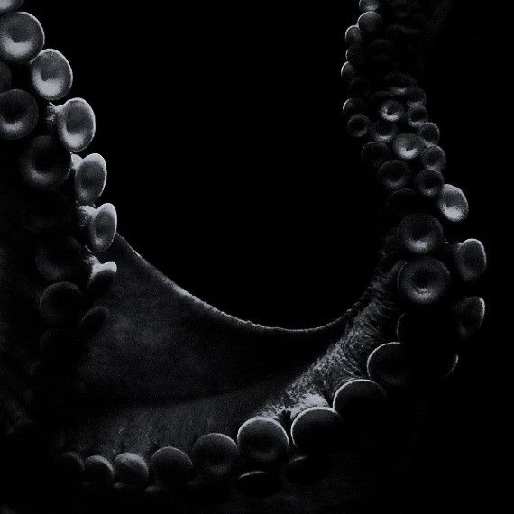 Kraken