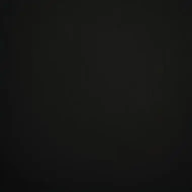 Profile image of 이리오