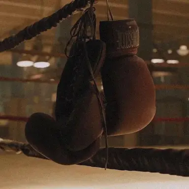 Profile image of 안수호