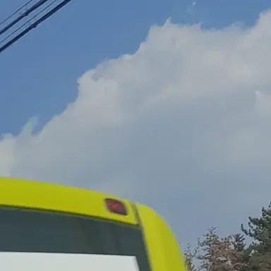 Profile image of 김여우