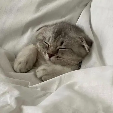 Profile image of 제작진